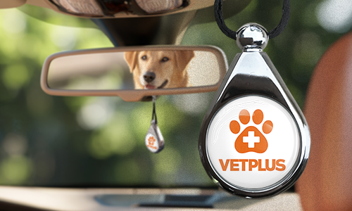 Branded logo car air freshener on rearview mirror