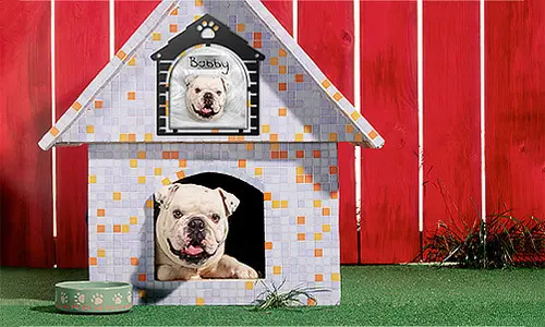 gallery-cats-picture-frame-1