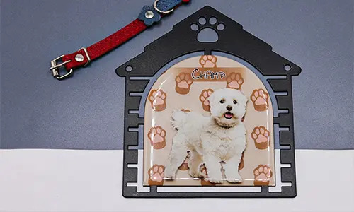 gallery-cats-picture-frame-2