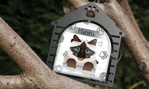 gallery-cats-picture-frame-7