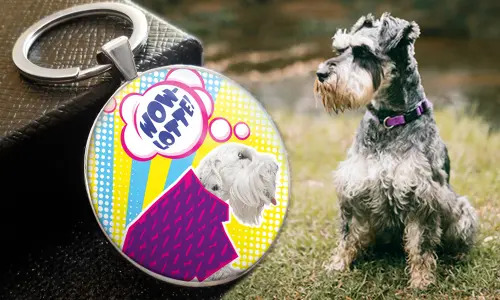 gallery-keychain-pet-comic-5