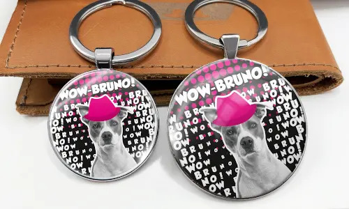 gallery-keychain-pet-comic-6