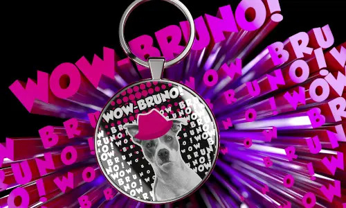 gallery-keychain-pet-comic-7