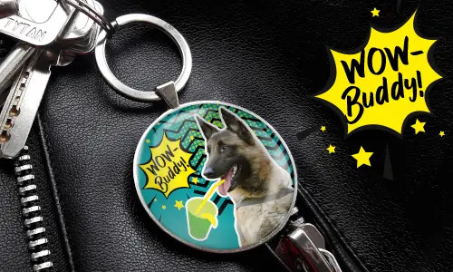 gallery-keychain-pet-comic-8