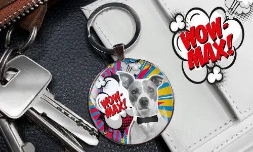 gallery-keychain-pet-comic-9