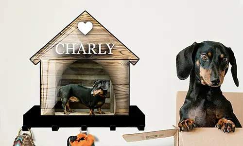 Galleri nyckelhållare vägg katt hund hus design 3