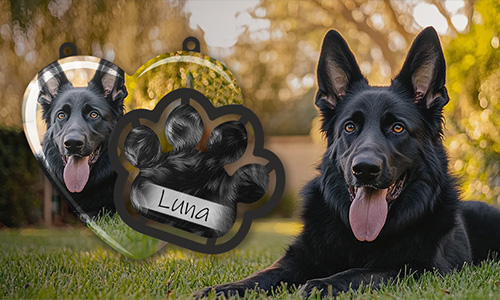 Black German Shepherd on grass with heart and paw-shaped photo tags labeled “Luna” — personalized pet ornaments.
