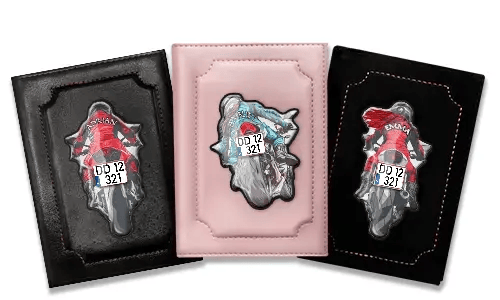 Registreringsattest-holder med dit navn og nummerplade