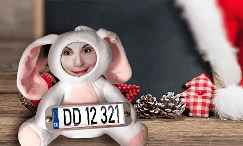 Cuddly toy with photo with license plate as a gift